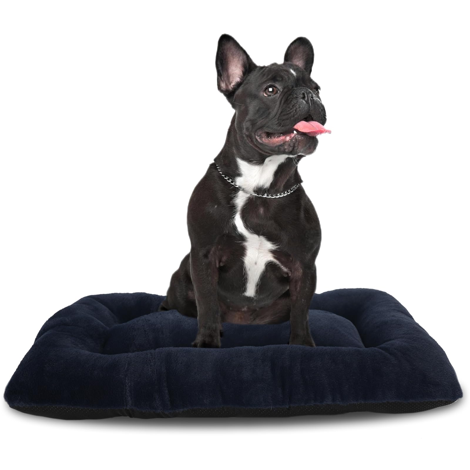 Scalpurr 24x18 Dog Bed (Navy Blue)